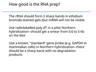 Good Rna DNA and RNA isolation and purification.ppt