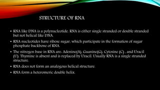 STRUCTURE OF RNA
• RNA like DNA is a polynucleotide. RNA is either single stranded or double stranded
but not helical like DNA.
• RNA nucleotides have ribose sugar, which participate in the formation of sugar
phosphate backbone of RNA.
• The nitrogen base in RNA are: Adenine(A), Guanine(G), Cytosine (C) , and Uracil
(U). Thymine is absent and is replaced by Uracil. Usually RNA is a single stranded
structure.
• RNA does not form an analogous helical structure.
• RNA form a heteromeric double helix.
 