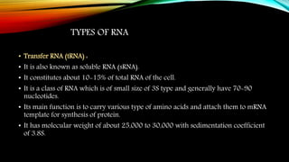 TYPES OF RNA
• Transfer RNA (tRNA) :
• It is also known as soluble RNA (sRNA).
• It constitutes about 10-15% of total RNA of the cell.
• It is a class of RNA which is of small size of 3S type and generally have 70-90
nucleotides.
• Its main function is to carry various type of amino acids and attach them to mRNA
template for synthesis of protein.
• It has molecular weight of about 25,000 to 30,000 with sedimentation coefficient
of 3.8S.
 