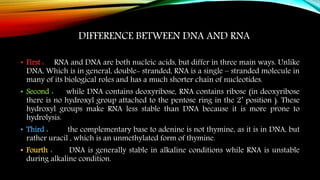 DIFFERENCE BETWEEN DNA AND RNA
• First : RNA and DNA are both nucleic acids, but differ in three main ways. Unlike
DNA, Which is in general, double- stranded, RNA is a single – stranded molecule in
many of its biological roles and has a much shorter chain of nucleotides.
• Second : while DNA contains deoxyribose, RNA contains ribose (in deoxyribose
there is no hydroxyl group attached to the pentose ring in the 2’ position ). These
hydroxyl groups make RNA less stable than DNA because it is more prone to
hydrolysis.
• Third : the complementary base to adenine is not thymine, as it is in DNA, but
rather uracil , which is an unmethylated form of thymine.
• Fourth : DNA is generally stable in alkaline conditions while RNA is unstable
during alkaline condition.
 