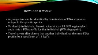 HOW DOES IT WORK?
• Any organism can be identified by examination of DNA sequences
unique to the specific species.
• To identify individuals, forensic scientist scan 13 DNA regions (loci)
and create a DNA profile for that individual (DNA fingerprint).
• There’s a very slim chance that another individual has the same DNA
profile for a specific set of 13 loci’s.
 