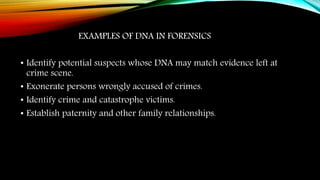 EXAMPLES OF DNA IN FORENSICS
• Identify potential suspects whose DNA may match evidence left at
crime scene.
• Exonerate persons wrongly accused of crimes.
• Identify crime and catastrophe victims.
• Establish paternity and other family relationships.
 