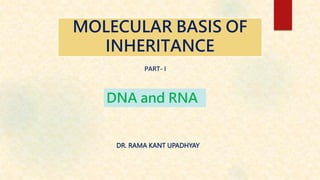 MOLECULAR BASIS OF
INHERITANCE
DR. RAMA KANT UPADHYAY
PART- I
DNA and RNA
 