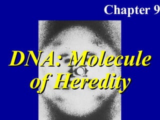 DNA: Molecule of Heredity 