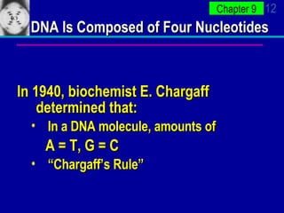 DNA Is Composed of Four Nucleotides In 1940, biochemist E. Chargaff determined that: In a DNA molecule, amounts of A = T, G = C “ Chargaff’s Rule” 