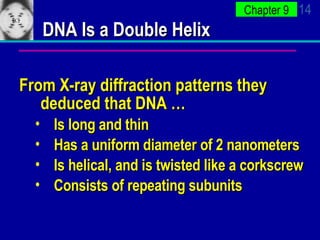 DNA Is a Double Helix From X-ray diffraction patterns they deduced that DNA … Is long and thin Has a uniform diameter of 2 nanometers  Is helical, and is twisted like a corkscrew Consists of repeating subunits 