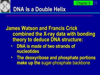 DNA Is a Double Helix James Watson and Francis Crick combined the X-ray data with bonding theory to deduce DNA structure: DNA is made of two strands of nucleotides The deoxyribose and phosphate portions make up the  sugar-phosphate backbone 