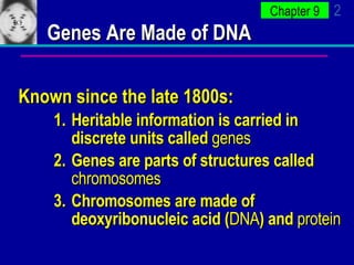 Genes Are Made of DNA Known since the late 1800s: Heritable information is carried in discrete units called  genes  Genes are parts of structures called  chromosomes Chromosomes are made of deoxyribonucleic acid ( DNA ) and  protein 
