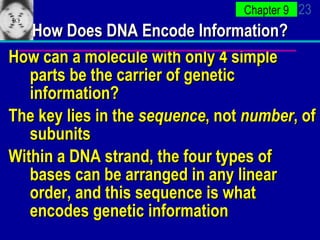 How Does DNA Encode Information? How can a molecule with only 4 simple parts be the carrier of genetic information? The key lies in the  sequence , not  number , of subunits Within a DNA strand, the four types of bases can be arranged in any linear order, and this sequence is what encodes genetic information 