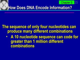 How Does DNA Encode Information? The sequence of only four nucleotides can produce many different combinations A 10 nucleotide sequence can code for greater than 1 million different combinations 