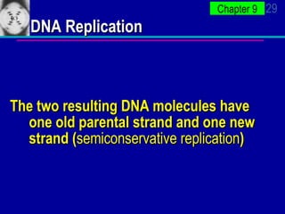 DNA Replication The two resulting DNA molecules have one old parental strand and one new strand ( semiconservative replication ) 