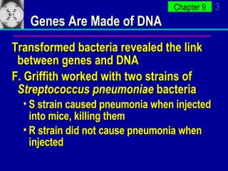 Genes Are Made of DNA Transformed bacteria revealed the link between genes and DNA F. Griffith worked with two strains of  Streptococcus pneumoniae  bacteria S strain caused pneumonia when injected into mice, killing them R strain did not cause pneumonia when injected 