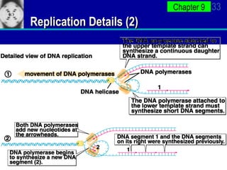 Replication Details (2) 