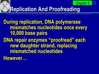 Replication And Proofreading During replication, DNA polymerase mismatches nucleotides once every 10,000 base pairs DNA repair enzymes “proofread” each new daughter strand, replacing mismatched nucleotides However… 