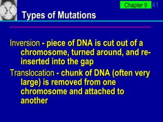 Types of Mutations Inversion  - piece of DNA is cut out of a chromosome, turned around, and re-inserted into the gap  Translocation  - chunk of DNA (often very large) is removed from one chromosome and attached to another 