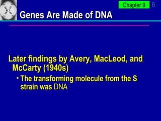 Genes Are Made of DNA Later findings by Avery, MacLeod, and McCarty (1940s) The transforming molecule from the S strain was  DNA 