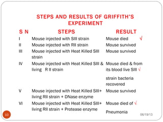 S N STEPS RESULT
I Mouse injected with SIII strain Mouse died √
II Mouse injected with RII strain Mouse survived
III Mouse injected with Heat Killed SIII
strain
Mouse survived
IV Mouse injected with Heat Killed SIII &
living R II strain
Mouse died & from
its blood live SIII √
strain bacteria
recovered
V Mouse injected with Heat Killed SIII+
living RII strain + DNase enzyme
Mouse survived
VI Mouse injected with Heat Killed SIII+
living RII strain + Protease enzyme
Mouse died of √
Pneumonia
STEPS AND RESULTS OF GRIFFITH’S
EXPERIMENT
06/19/1310
 