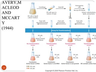 AVERY,M
ACLEOD
AND
MCCART
Y
(1944)
06/19/1313
 