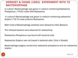 HERSHEY & CHASE (1952) EXPERIMENT WITH T2
BACTERIOPHAGE
In culture I Bacteriophage was grown in medium containing Radioactive
Phosphorus (32
P))To make DNA Radioactive
In culture II Bacteriophage was grown in medium containing radioactive
Sulphur (35
S) To make proteins Radioactive
Both kinds of Bacteriophage particles were allowed to infect Bacteria
The infected bacteria were observed for radioactivity
Radioactive Phosphorus was found with bacterial cells
Radioactive Sulphur was not traced in bacterial cells ( Only in Ghosts)
Bacteriophage progeny carried only radioactive phosphorus and not radioactive
sulphur
06/19/1319
 