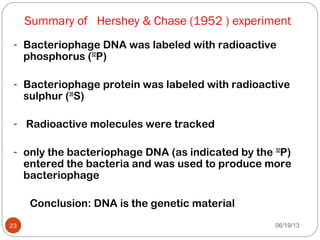 06/19/1323
- Bacteriophage DNA was labeled with radioactive
phosphorus (32
P)
- Bacteriophage protein was labeled with radioactive
sulphur (35
S)
- Radioactive molecules were tracked
- only the bacteriophage DNA (as indicated by the 32
P)
entered the bacteria and was used to produce more
bacteriophage
Conclusion: DNA is the genetic material
Summary of Hershey & Chase (1952 ) experiment
 