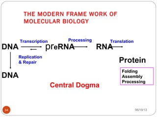 DNA preRNA RNA
Protein
DNA
Replication
& Repair
Transcription Processing Translation
Folding
Assembly
Processing
Central Dogma
THE MODERN FRAME WORK OF
MOLECULAR BIOLOGY
06/19/1334
 
