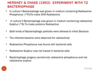 HERSHEY & CHASE (1952) EXPERIMENT WITH T2
BACTERIOPHAGE
• In culture I Bacteriophage was grown in medium containing Radioactive
Phosphorus (32
P))To make DNA Radioactive
• In culture II Bacteriophage was grown in medium containing radioactive
Sulphur (35
S) To make proteins Radioactive
• Both kinds of Bacteriophage particles were allowed to infect Bacteria
• The infected bacteria were observed for radioactivity
• Radioactive Phosphorus was found with bacterial cells
• Radioactive Sulphur was not traced in bacterial cells
• Bacteriophage progeny carried only radioactive phosphorus and not
radioactive sulphur
11/11/1612
 