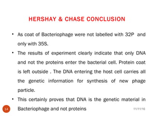 HERSHAY & CHASE CONCLUSION
• As coat of Bacteriophage were not labelled with 32P and
only with 35S.
• The results of experiment clearly indicate that only DNA
and not the proteins enter the bacterial cell. Protein coat
is left outside . The DNA entering the host cell carries all
the genetic information for synthesis of new phage
particle.
• This certainly proves that DNA is the genetic material in
Bacteriophage and not proteins 11/11/1614
 