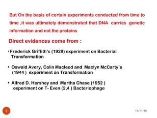 But On the basis of certain experiments conducted from time to
time ,it was ultimately demonstrated that DNA carries genetic
information and not the proteins
11/11/165
Direct evidences come from :
• Frederick Griffith’s (1928) experiment on Bacterial
Transformation
• Oswald Avery, Colin Macleod and Maclyn McCarty’s
(1944 ) experiment on Transformation
• Alfred D. Hershey and Martha Chase (1952 )
experiment on T- Even (2,4 ) Bacteriophage
 