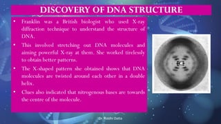 Dr. Riddhi Datta
DISCOVERY OF DNA STRUCTURE
• Franklin was a British biologist who used X-ray
diffraction technique to understand the structure of
DNA.
• This involved stretching out DNA molecules and
aiming powerful X-ray at them. She worked tirelessly
to obtain better patterns.
• The X-shaped pattern she obtained shows that DNA
molecules are twisted around each other in a double
helix.
• Clues also indicated that nitrogenous bases are towards
the centre of the molecule.
 