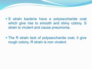 S strain bacteria have a polysaccharide coat
which give rise to smooth and shiny colony. S
strain is virulent and cause pneumonia.
 The R strain lack of polysaccharide coat, it give
rough colony. R strain is non virulent.
 