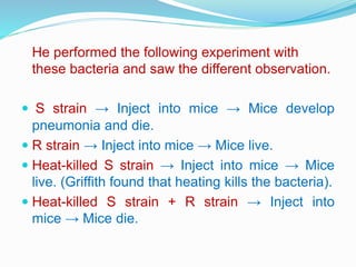 He performed the following experiment with
these bacteria and saw the different observation.
 S strain → Inject into mice → Mice develop
pneumonia and die.
 R strain → Inject into mice → Mice live.
 Heat-killed S strain → Inject into mice → Mice
live. (Griffith found that heating kills the bacteria).
 Heat-killed S strain + R strain → Inject into
mice → Mice die.
 