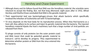 Hershey and Chase Experiment
• Although Avery and his fellows found that DNA was the hereditary material, the scientists were
reluctant to accept the finding. But, not that long afterward, eight years after in 1952, Alfred
Hershey and Martha Chase concluded that DNA is the genetic material.
• Their experimental tool was bacteriophages-viruses that attack bacteria which specifically
involved the infection of Escherichia coli with T2 bacteriophage.
• T2 virus depends on the host body for its reproduction process. When they find bacteria as a
host cell, they adhere to its surface and inject its genetic material into the bacteria. The injected
hereditary material hijacks the host’s machinery such that a large number of viral particles are
released from them.
T2 phage consists of only proteins (on the outer protein coat)
and DNA (core) that could be potential genetic material to
instruct E. coli to develop its progeny. They experimented to
determine whether protein or DNA from the virus entered into
the bacteria.
Structure of a bacteriophage
 
