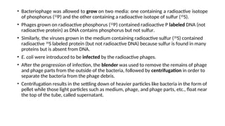 • Bacteriophage was allowed to grow on two media: one containing a radioactive isotope
of phosphorus (32
P) and the other containing a radioactive isotope of sulfur (35
S).
• Phages grown on radioactive phosphorus (32
P) contained radioactive P labeled DNA (not
radioactive protein) as DNA contains phosphorus but not sulfur.
• Similarly, the viruses grown in the medium containing radioactive sulfur (35
S) contained
radioactive 35
S labeled protein (but not radioactive DNA) because sulfur is found in many
proteins but is absent from DNA.
• E. coli were introduced to be infected by the radioactive phages.
• After the progression of infection, the blender was used to remove the remains of phage
and phage parts from the outside of the bacteria, followed by centrifugation in order to
separate the bacteria from the phage debris.
• Centrifugation results in the settling down of heavier particles like bacteria in the form of
pellet while those light particles such as medium, phage, and phage parts, etc., float near
the top of the tube, called supernatant.
 