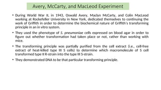 Avery, McCarty, and MacLeod Experiment
• During World War II, in 1943, Oswald Avery, Maclyn McCarty, and Colin MacLeod
working at Rockefeller University in New York, dedicated themselves to continuing the
work of Griffith in order to determine the biochemical nature of Griffith’s transforming
principle in an in vitro system.
• They used the phenotype of S. pneumoniae cells expressed on blood agar in order to
figure out whether transformation had taken place or not, rather than working with
mice.
• The transforming principle was partially purified from the cell extract (i.e., cell-free
extract of heat-killed type III S cells) to determine which macromolecule of S cell
transformed type II R-strain into the type III S-strain.
• They demonstrated DNA to be that particular transforming principle.
 