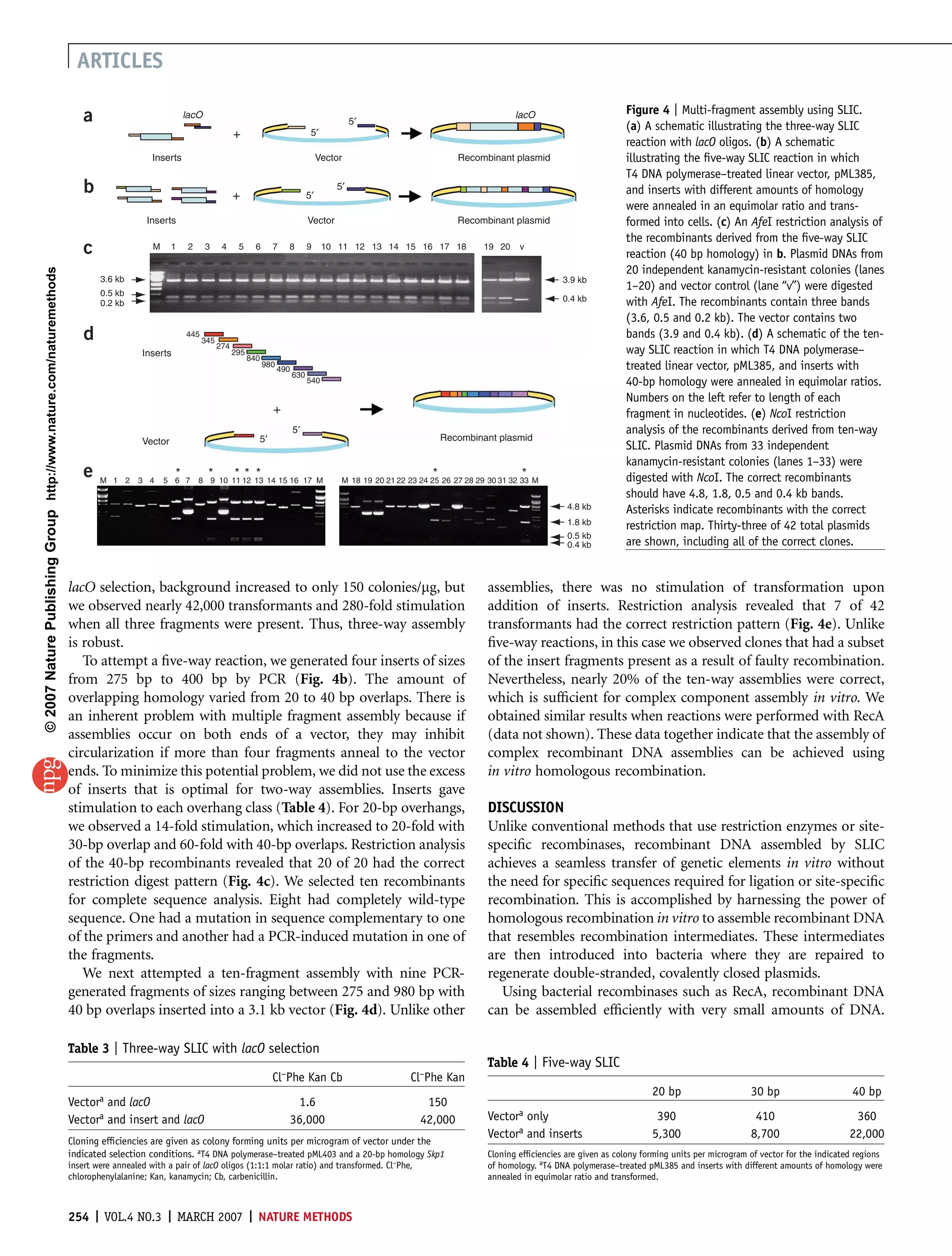 ARTICLES

                                                                                                                                                                                                                                         Figure 4 | Multi-fragment assembly using SLIC.
                                                                         a                            lacO
                                                                                                                                                                    5′
                                                                                                                                                                                                            lacO
                                                                                                                                                                                                                                         (a) A schematic illustrating the three-way SLIC
                                                                                                                        +                              5′
                                                                                                                                                                                                                                         reaction with lacO oligos. (b) A schematic
                                                                                           Inserts                                                         Vector                             Recombinant plasmid                        illustrating the ﬁve-way SLIC reaction in which
                                                                                                                                                                                                                                         T4 DNA polymerase–treated linear vector, pML385,
                                                                         b                                              +                             5′
                                                                                                                                                               5′                                                                        and inserts with different amounts of homology
                                                                                                                                                                                                                                         were annealed in an equimolar ratio and trans-
                                                                                          Inserts                                                     Vector                                  Recombinant plasmid                        formed into cells. (c) An AfeI restriction analysis of
                                                                                                                                                                                                                                         the recombinants derived from the ﬁve-way SLIC
                                                                         c                 M     1     2     3     4     5      6     7     8         9     10 11 12 13 14 15 16 17 18              19 20     v
                                                                                                                                                                                                                                         reaction (40 bp homology) in b. Plasmid DNAs from
                                                                                                                                                                                                                                         20 independent kanamycin-resistant colonies (lanes
© 2007 Nature Publishing Group http://www.nature.com/naturemethods




                                                                             3.6 kb                                                                                                                                     3.9 kb
                                                                             0.5 kb
                                                                                                                                                                                                                                         1–20) and vector control (lane ‘‘v’’) were digested
                                                                             0.2 kb                                                                                                                                     0.4 kb           with AfeI. The recombinants contain three bands
                                                                                                                                                                                                                                         (3.6, 0.5 and 0.2 kb). The vector contains two
                                                                         d                            445
                                                                                                            345
                                                                                                                  274
                                                                                                                                                                                                                                         bands (3.9 and 0.4 kb). (d) A schematic of the ten-
                                                                                        Inserts                         295                                                                                                              way SLIC reaction in which T4 DNA polymerase–
                                                                                                                              840
                                                                                                                                    980
                                                                                                                                          490                                                                                            treated linear vector, pML385, and inserts with
                                                                                                                                                630
                                                                                                                                                      540                                                                                40-bp homology were annealed in equimolar ratios.
                                                                                                                                                                                                                                         Numbers on the left refer to length of each
                                                                                                                                      +                                                                                                  fragment in nucleotides. (e) NcoI restriction
                                                                                                                                                5′                                                                                       analysis of the recombinants derived from ten-way
                                                                                        Vector                                  5′                                                         Recombinant plasmid
                                                                                                                                                                                                                                         SLIC. Plasmid DNAs from 33 independent
                                                                                                                                                                                                                                         kanamycin-resistant colonies (lanes 1–33) were
                                                                         e   M 1 2     3 4
                                                                                                  *
                                                                                               5 6 7
                                                                                                             *          ** *
                                                                                                           8 9 10 11 12 13 14 15 16 17 M
                                                                                                                                                                                       *                      *
                                                                                                                                                                M 18 19 20 21 22 23 24 25 26 27 28 29 30 31 32 33 M                      digested with NcoI. The correct recombinants
                                                                                                                                                                                                                                         should have 4.8, 1.8, 0.5 and 0.4 kb bands.
                                                                                                                                                                                                                         4.8 kb          Asterisks indicate recombinants with the correct
                                                                                                                                                                                                                         1.8 kb          restriction map. Thirty-three of 42 total plasmids
                                                                                                                                                                                                                         0.5 kb
                                                                                                                                                                                                                         0.4 kb          are shown, including all of the correct clones.


                                                                     lacO selection, background increased to only 150 colonies/mg, but                                                               assemblies, there was no stimulation of transformation upon
                                                                     we observed nearly 42,000 transformants and 280-fold stimulation                                                                addition of inserts. Restriction analysis revealed that 7 of 42
                                                                     when all three fragments were present. Thus, three-way assembly                                                                 transformants had the correct restriction pattern (Fig. 4e). Unlike
                                                                     is robust.                                                                                                                      ﬁve-way reactions, in this case we observed clones that had a subset
                                                                        To attempt a ﬁve-way reaction, we generated four inserts of sizes                                                            of the insert fragments present as a result of faulty recombination.
                                                                     from 275 bp to 400 bp by PCR (Fig. 4b). The amount of                                                                           Nevertheless, nearly 20% of the ten-way assemblies were correct,
                                                                     overlapping homology varied from 20 to 40 bp overlaps. There is                                                                 which is sufﬁcient for complex component assembly in vitro. We
                                                                     an inherent problem with multiple fragment assembly because if                                                                  obtained similar results when reactions were performed with RecA
                                                                     assemblies occur on both ends of a vector, they may inhibit                                                                     (data not shown). These data together indicate that the assembly of
                                                                     circularization if more than four fragments anneal to the vector                                                                complex recombinant DNA assemblies can be achieved using
                                                                     ends. To minimize this potential problem, we did not use the excess                                                             in vitro homologous recombination.
                                                                     of inserts that is optimal for two-way assemblies. Inserts gave
                                                                     stimulation to each overhang class (Table 4). For 20-bp overhangs,                                                              DISCUSSION
                                                                     we observed a 14-fold stimulation, which increased to 20-fold with                                                              Unlike conventional methods that use restriction enzymes or site-
                                                                     30-bp overlap and 60-fold with 40-bp overlaps. Restriction analysis                                                             speciﬁc recombinases, recombinant DNA assembled by SLIC
                                                                     of the 40-bp recombinants revealed that 20 of 20 had the correct                                                                achieves a seamless transfer of genetic elements in vitro without
                                                                     restriction digest pattern (Fig. 4c). We selected ten recombinants                                                              the need for speciﬁc sequences required for ligation or site-speciﬁc
                                                                     for complete sequence analysis. Eight had completely wild-type                                                                  recombination. This is accomplished by harnessing the power of
                                                                     sequence. One had a mutation in sequence complementary to one                                                                   homologous recombination in vitro to assemble recombinant DNA
                                                                     of the primers and another had a PCR-induced mutation in one of                                                                 that resembles recombination intermediates. These intermediates
                                                                     the fragments.                                                                                                                  are then introduced into bacteria where they are repaired to
                                                                        We next attempted a ten-fragment assembly with nine PCR-                                                                     regenerate double-stranded, covalently closed plasmids.
                                                                     generated fragments of sizes ranging between 275 and 980 bp with                                                                  Using bacterial recombinases such as RecA, recombinant DNA
                                                                     40 bp overlaps inserted into a 3.1 kb vector (Fig. 4d). Unlike other                                                            can be assembled efﬁciently with very small amounts of DNA.

                                                                     Table 3 | Three-way SLIC with lacO selection
                                                                                                                                                                                                     Table 4 | Five-way SLIC
                                                                                                                                      Cl–Phe Kan Cb                              Cl–Phe Kan
                                                                                                                                                                                                                                               20 bp                     30 bp                      40 bp
                                                                     Vectora and lacO                                                        1.6                                     150
                                                                     Vectora and insert and lacO                                            36,000                                  42,000           Vectora only                               390                       410                       360
                                                                                                                                                                                                     Vectora and inserts                       5,300                     8,700                     22,000
                                                                     Cloning efﬁciencies are given as colony forming units per microgram of vector under the
                                                                     indicated selection conditions. aT4 DNA polymerase–treated pML403 and a 20-bp homology Skp1                                     Cloning efﬁciencies are given as colony forming units per microgram of vector for the indicated regions
                                                                     insert were annealed with a pair of lacO oligos (1:1:1 molar ratio) and transformed. Cl–Phe,                                    of homology. aT4 DNA polymerase–treated pML385 and inserts with different amounts of homology were
                                                                     chlorophenylalanine; Kan, kanamycin; Cb, carbenicillin.                                                                         annealed in equimolar ratio and transformed.



                                                                     254 | VOL.4 NO.3 | MARCH 2007 | NATURE METHODS
 
