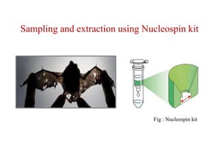 Sampling and extraction using Nucleospin kit
Fig : Nucleospin kit
 