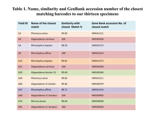 Table 1. Name, similarity and GenBank accession number of the closest
matching barcodes to our thirteen specimens
Field ID Name of the closest
match
Similarity with
closest Match %
Gene Bank accession No. of
closest match
b2 Phoniscus atrox 99.82 HM541211
b3 Hipposideros cervinus 100 HM540358
b4 Rhinolophus lepidus 98.55 HM541573
b9 Rhinolophus affinis 100 HM541414
b14 Rhinolophus lepidus 99.81 HM541573
b21 Hipposideros cervinus 100 HM540358
b30 Hipposideros bicolor 31 99.64 HM540344
b56 Phoniscus atrox 99.82 HM541211
b60 Hipposideros cf. bicolor 99.82 HM540379
b67 Rhinolophus affinis 98.71 HM541414
b69 Hipposideros cf. larvatus 100 HM240403
b74 Murina aenea 99.64 HM540928
b91 Hipposideros cf. larvatus 100 HM540403
 