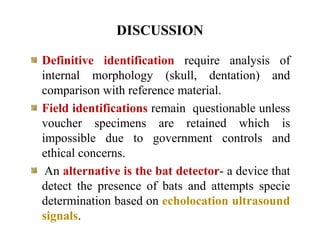 DISCUSSION
Definitive identification require analysis of
internal morphology (skull, dentation) and
comparison with reference material.
Field identifications remain questionable unless
voucher specimens are retained which is
impossible due to government controls and
ethical concerns.
An alternative is the bat detector- a device that
detect the presence of bats and attempts specie
determination based on echolocation ultrasound
signals.
 