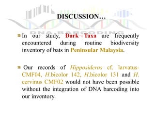 DISCUSSION…
In our study, Dark Taxa are frequently
encountered during routine biodiversity
inventory of bats in Peninsular Malaysia.
Our records of Hipposideros cf. larvatus-
CMF04, H.bicolor 142, H.bicolor 131 and H.
cervinus CMF02 would not have been possible
without the integration of DNA barcoding into
our inventory.
 