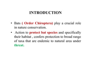 INTRODUCTION
• Bats ( Order Chiroptera) play a crucial role
in nature conservation.
• Action to protect bat species and specifically
their habitat , confers protection to broad range
of taxa that are endemic to natural area under
threat.
 