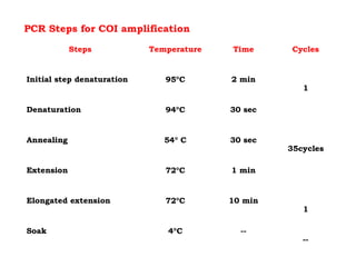 --
--4°CSoak
1
10 min72°CElongated extension
1 min72°CExtension
30 sec54° CAnnealing
35cycles
30 sec94°CDenaturation
1
2 min95°CInitial step denaturation
CyclesTimeTemperatureSteps
--
--4°CSoak
1
10 min72°CElongated extension
1 min72°CExtension
30 sec54° CAnnealing
35cycles
30 sec94°CDenaturation
1
2 min95°CInitial step denaturation
CyclesTimeTemperatureSteps
PCR Steps for COI amplification
 