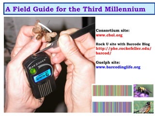 A Field Guide for the Third Millennium
Consortium site:
www.cbol.org
Rock U site with Barcode Blog
http://phe.rockefeller.edu/
barcod/
Guelph site:
www.barcodinglife.org
 