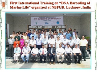 First International Training on “DNA Barcoding ofFirst International Training on “DNA Barcoding of
Marine Life” organized at NBFGR, Lucknow, IndiaMarine Life” organized at NBFGR, Lucknow, India
 