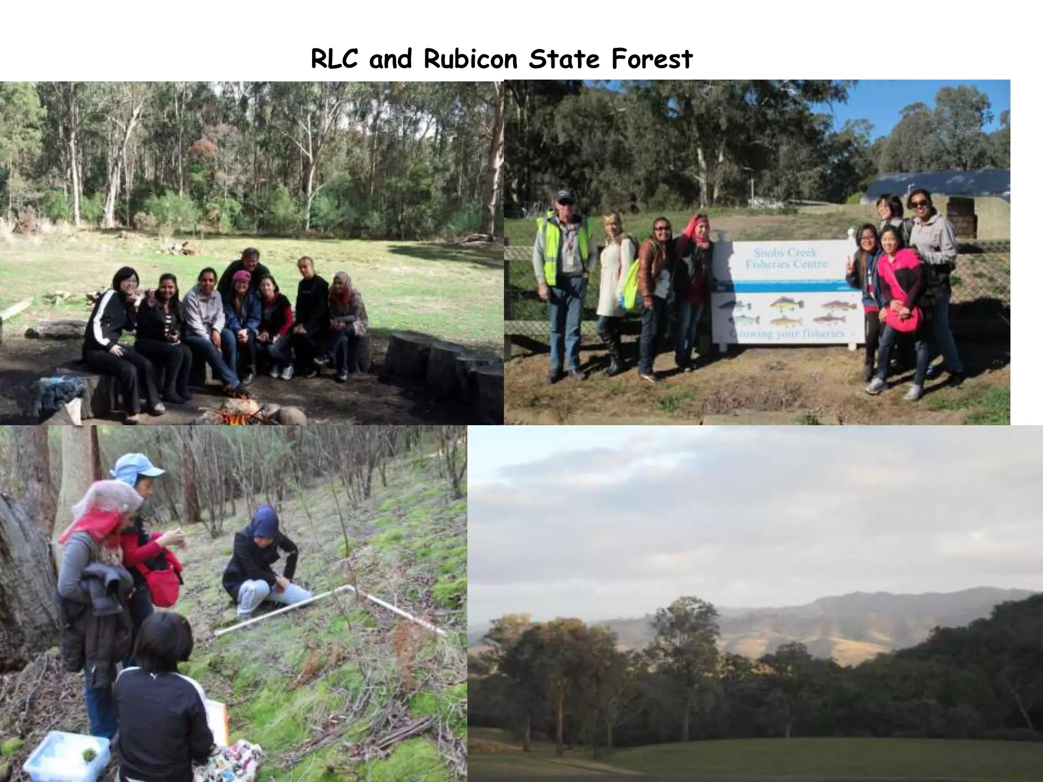 7/31/2014 13
RLC and Rubicon State Forest
 