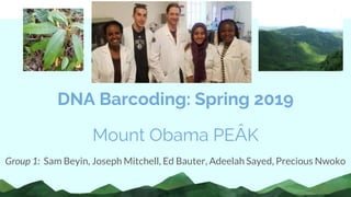 DNA Barcoding: Spring 2019
Mount Obama PEÂK
Group 1: Sam Beyin, Joseph Mitchell, Ed Bauter, Adeelah Sayed, Precious Nwoko
 