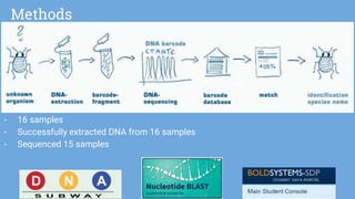 Dna Barcoding Methods DNA barcoding presentation Group 3 | PPTX