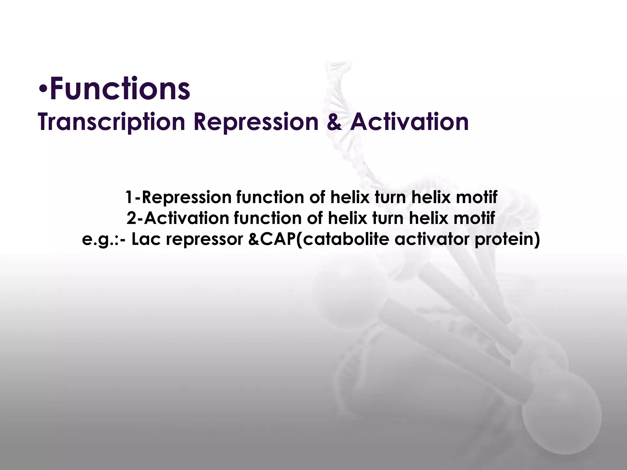•Functions

Transcription Repression & Activation
1-Repression function of helix turn helix motif
2-Activation function of helix turn helix motif
e.g.:- Lac repressor &CAP(catabolite activator protein)

 