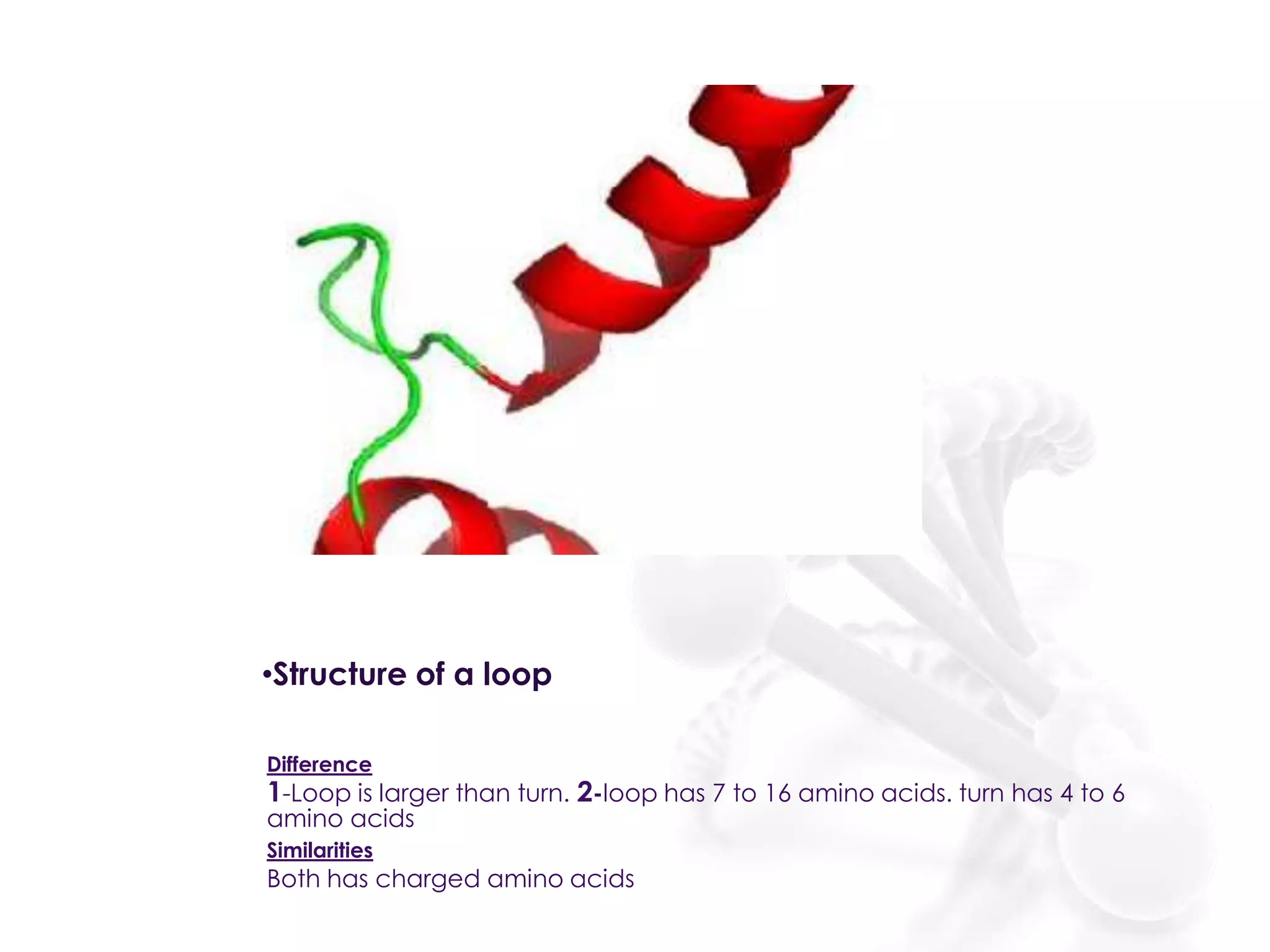 •Structure of a loop
Difference

1-Loop is larger than turn. 2-loop has 7 to 16 amino acids. turn has 4 to 6
amino acids
Similarities

Both has charged amino acids

 
