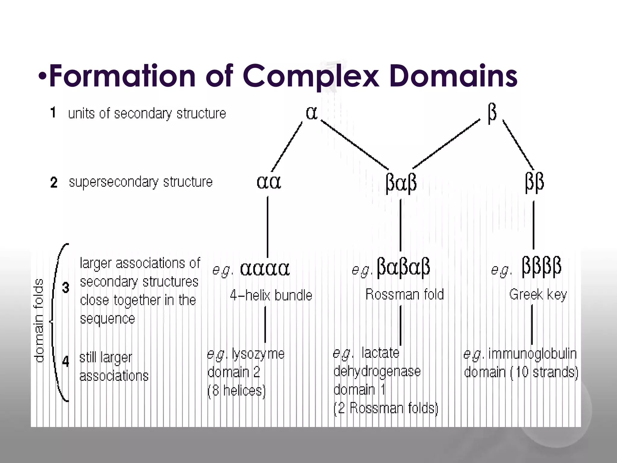 •Formation of Complex Domains

 