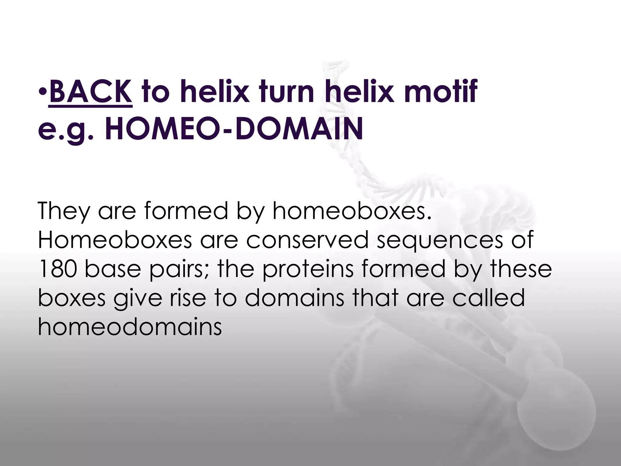 •BACK to helix turn helix motif
e.g. HOMEO-DOMAIN
They are formed by homeoboxes.
Homeoboxes are conserved sequences of
180 base pairs; the proteins formed by these
boxes give rise to domains that are called
homeodomains

 
